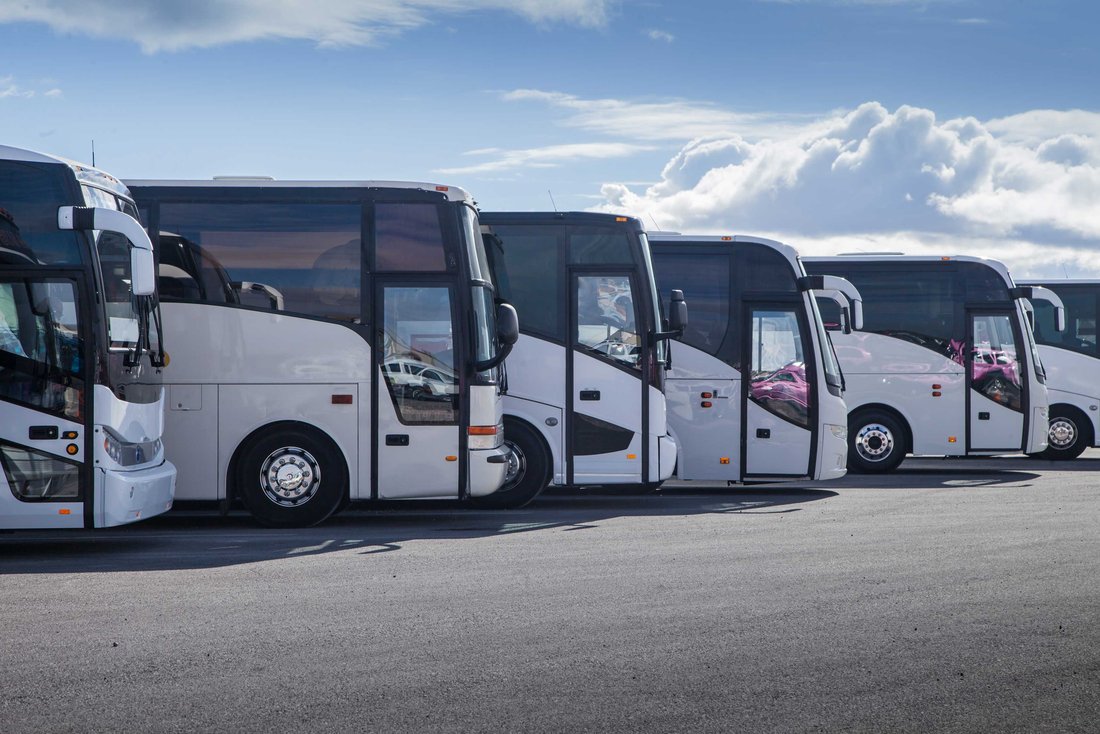 bus-transport-trip.jpg Several white buses are lined up in a parking lot.