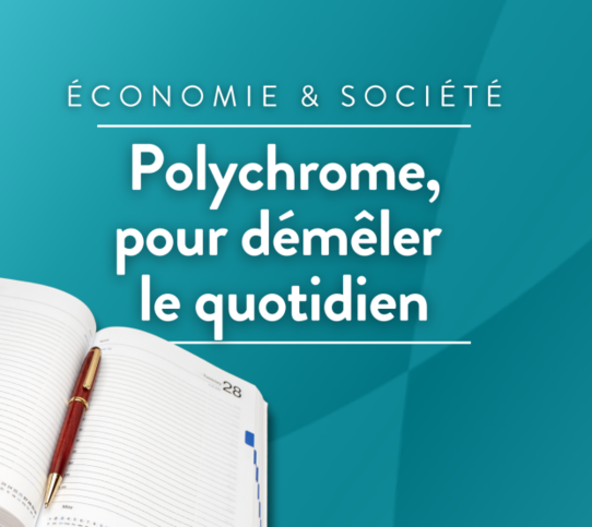 Polychrome, pour démêler le quotidien