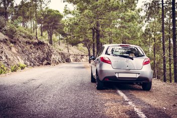 road-forest-car.jpg A car is parked along a road in the forest.